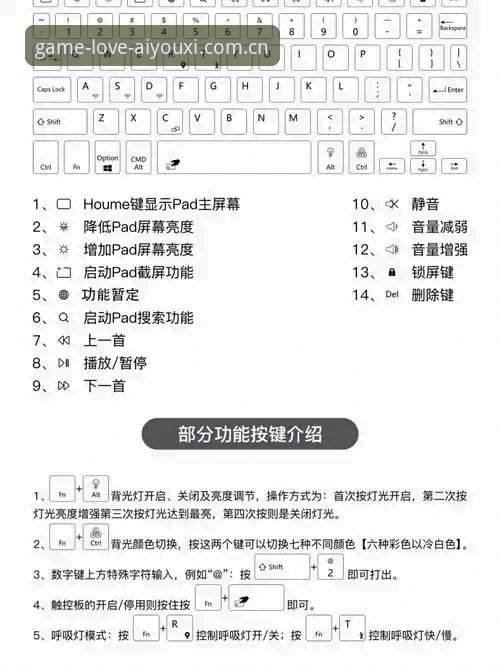 爱游戏全站安装的5个关键步骤：从新手到资深玩家的完整指南